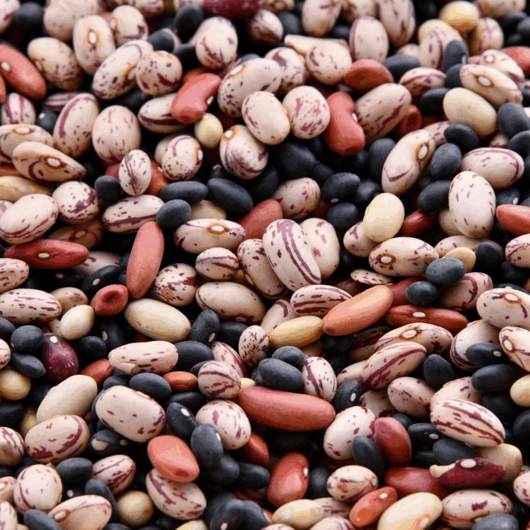 Mix of dried beans